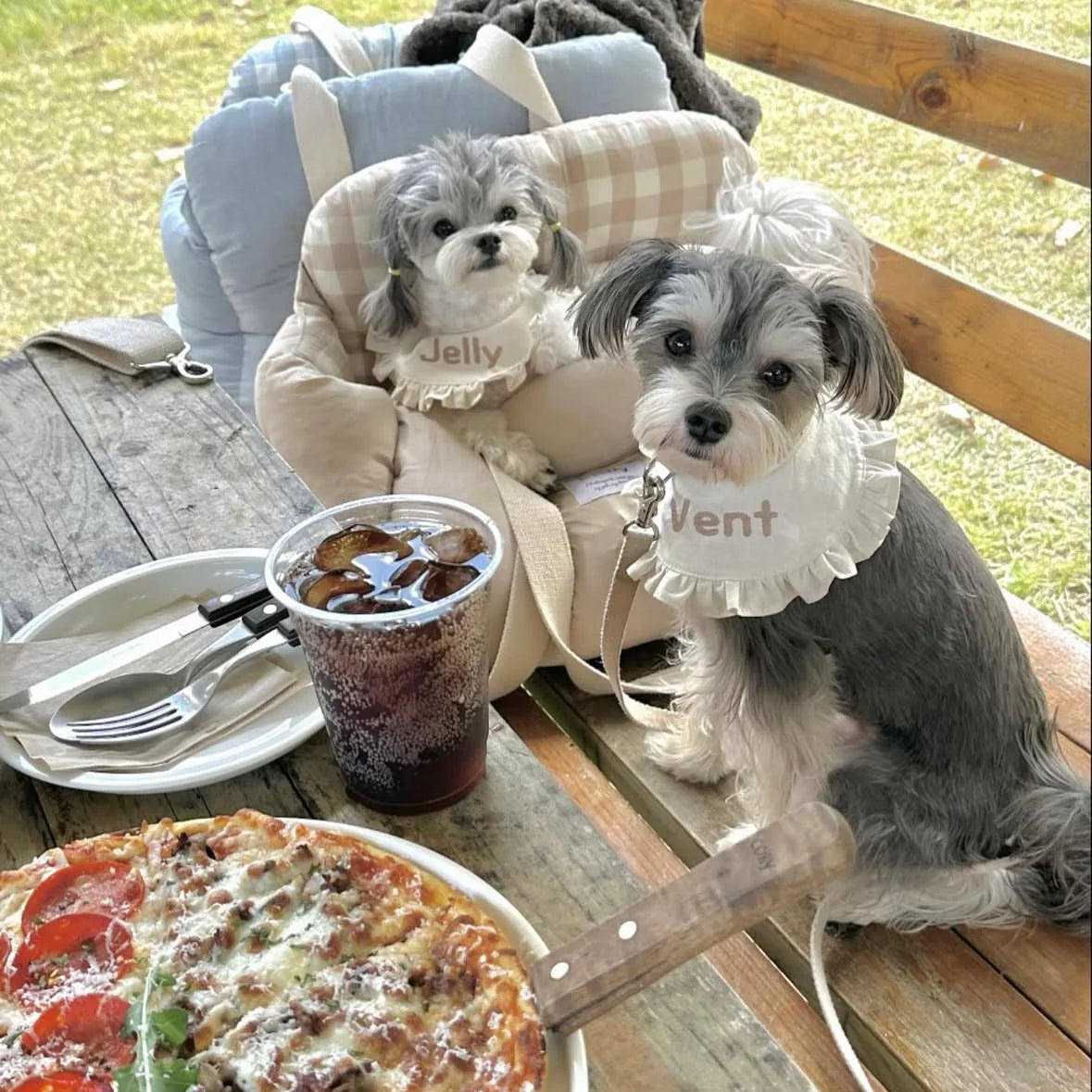 Woolly Pet Carrier Bag Car Seats