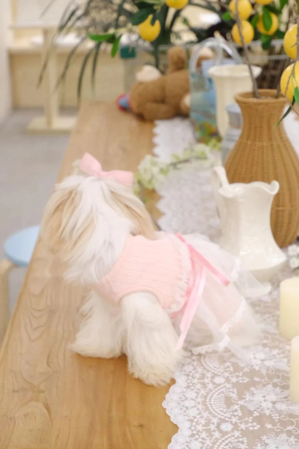 Pet Spring Bow-Tie Ballet Tutu Home Tee Cat Dog Skirt