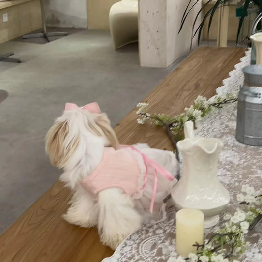 Pet Spring Bow-Tie Ballet Tutu Home Tee Cat Dog Skirt