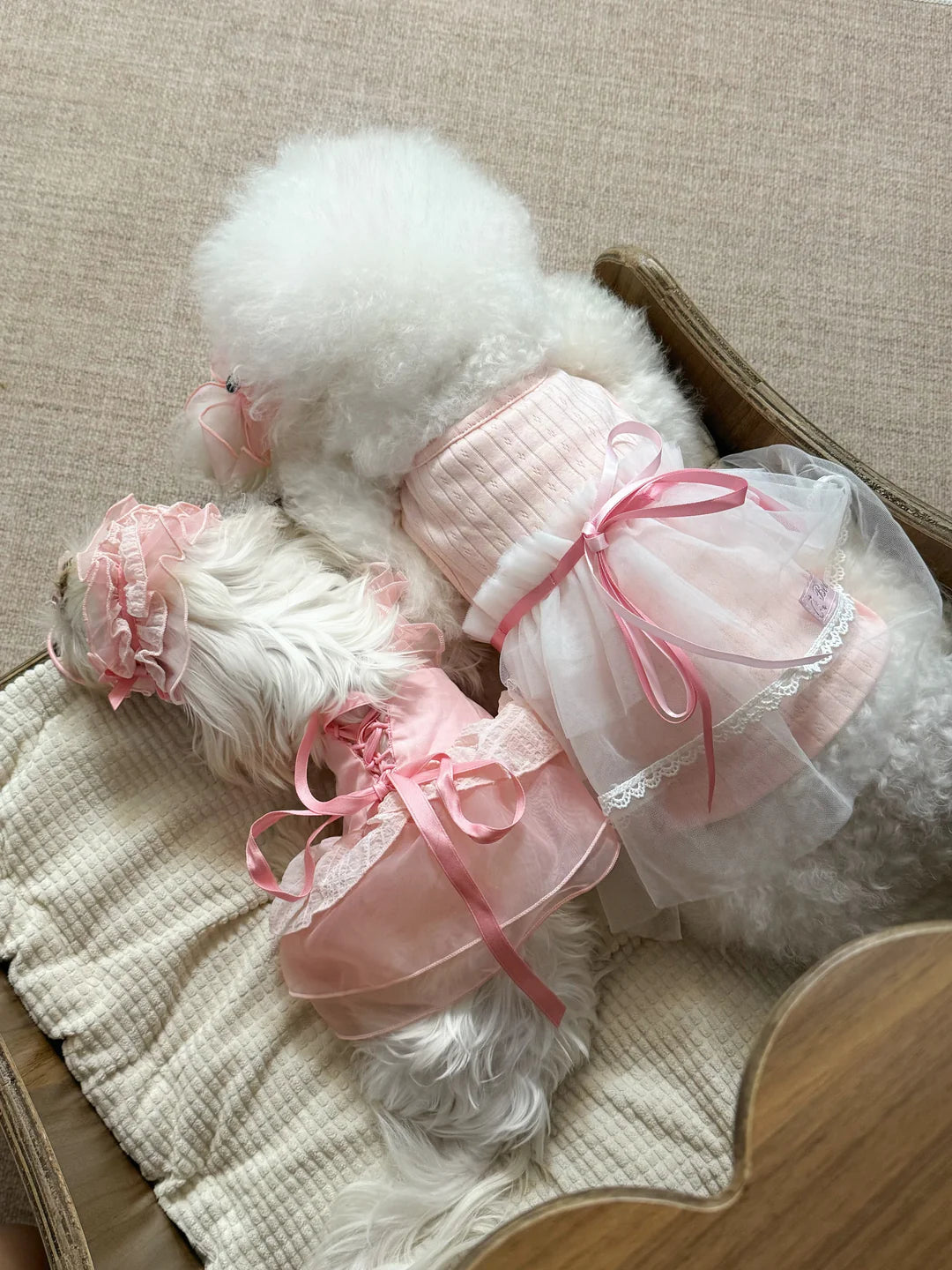 Pet Spring Bow-Tie Ballet Tutu Home Tee Cat Dog Skirt