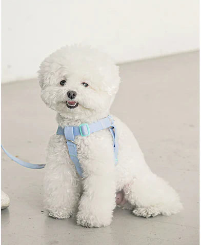 Bite Me Candy Crayon Harness